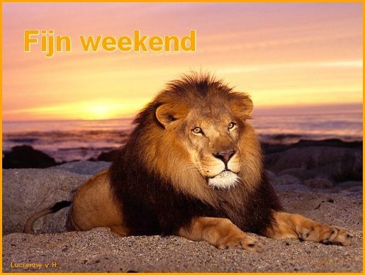 animaatjes-weekend-2173139.jpg