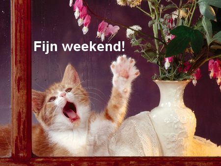 animaatjes-weekend-96978.jpg