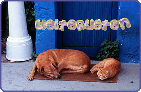http://www.animaatjes.nl/plaatjes/w/welterusten/animaatjes-welterusten-77645.gif