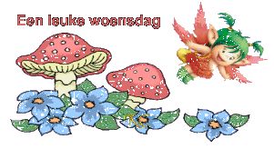 animaatjes-woensdag-08826.gif