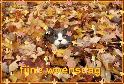 animaatjes-woensdag-946164.gif