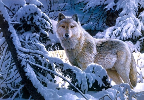 animaatjes-wolven-3046.jpg