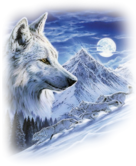 animaatjes-wolven-80617.png