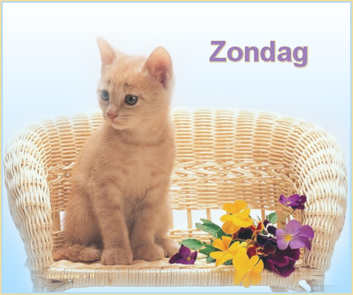 animaatjes-zondag-609532.png