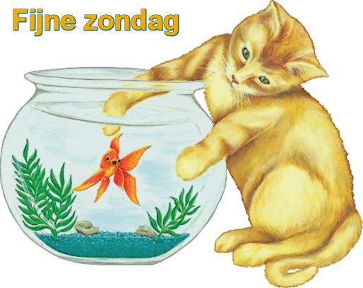 animaatjes-zondag-6717791.png