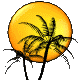 Plaatjes Zonnen Palmboom, Zon