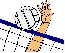 Sport plaatjes Volleyball 