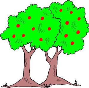 Cliparts Bloemen en planten Bomen Appelbomen