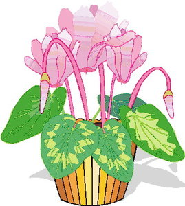 Cliparts Bloemen en planten Planten Kamerplant