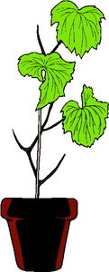 Cliparts Bloemen en planten Planten Bruine Pot Met Een Stokje Bruine Tak Met Drie Groene Bladeren 
