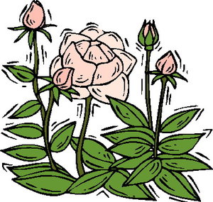 Cliparts Bloemen en planten Rozen Bloemen Rozen