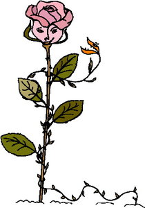 Cliparts Bloemen en planten Rozen 