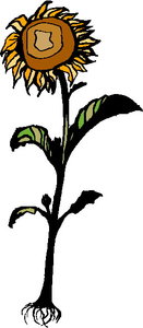 Cliparts Bloemen en planten Zonnebloem 