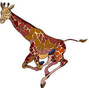 Dieren Cliparts Giraffen 