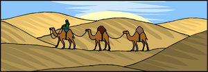 Dieren Cliparts Kamelen 