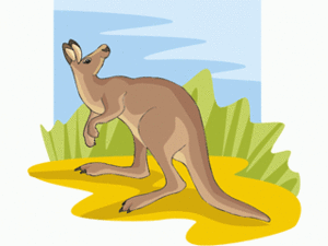 Dieren Cliparts Kangoeroes 