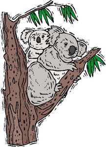 Dieren Cliparts Koala 