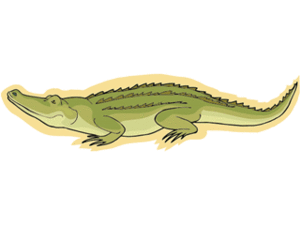 Dieren Cliparts Krokodillen Alligator