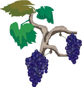 Cliparts Eten en drinken Druiven Druiven Aan Een Tak