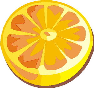Cliparts Fruit Grapefruits 