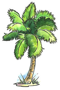 Cliparts Geografie Hawaii Palm Palboom