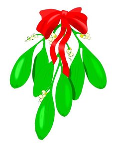 Cliparts Kerstmis Kerst mistletoe 