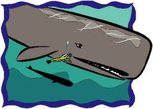 Cliparts Vissen Walvissen Walvis In De Zee
