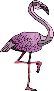 Cliparts Vogels Flamingo 