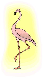 Cliparts Vogels Flamingo Roze Flamingo