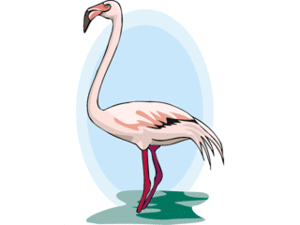 Cliparts Vogels Flamingo 