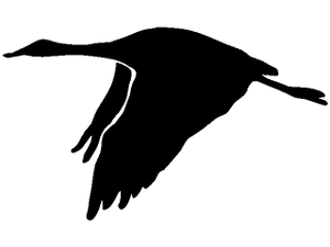 Cliparts Vogels Kraanvogels 