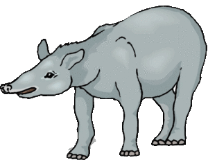 Dieren Aardvarken Dieren plaatjes Tapir