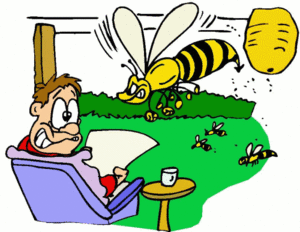 Dieren Bijen Dieren plaatjes 