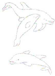 Dieren Dolfijnen Dieren plaatjes 