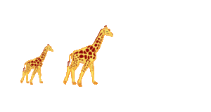 Dieren Giraffe Dieren plaatjes 