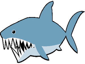 Dieren Haaien Dieren plaatjes 