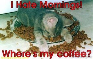 Humor Facebook plaatjes I Hate Mornings