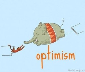 Humor Facebook plaatjes Toppunt Van Optimisme