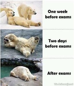 Humor Facebook plaatjes Examens