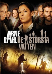 Films en series Series Arne dahl 