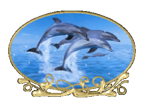 Globes Globes dolfijnen 
