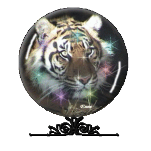 Globes Globes tijgers 