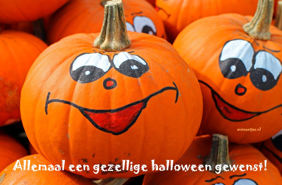 Halloween Tong Facebook plaatjes Gezellige halloween gewenst 