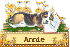 Annie Naamanimaties 