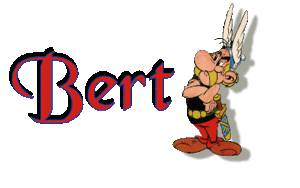 Naamanimaties Bert Asterix Bert Naamplaatje