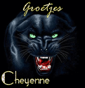 Cheyenne Naamanimaties 