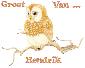 Naamanimaties Hendrik 