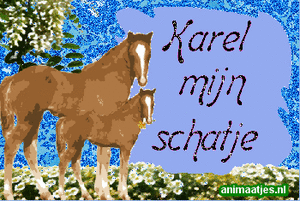 Naamanimaties Karel 