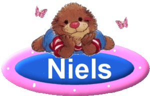 Naamanimaties Niels 