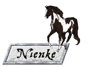 Naamanimaties Nienke 
